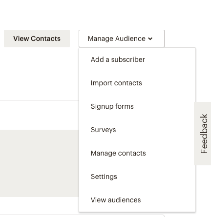 screenshot from mailchimp